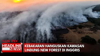 Kebakaran Hanguskan Kawasan Lindung New Forest Di Inggris