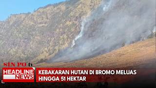Kebakaran Hutan di Bromo Meluas Hingga 51 Hektar