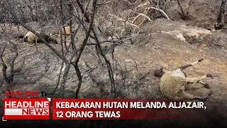 Kebakaran Hutan Melanda Aljazair, 12 Orang Tewas