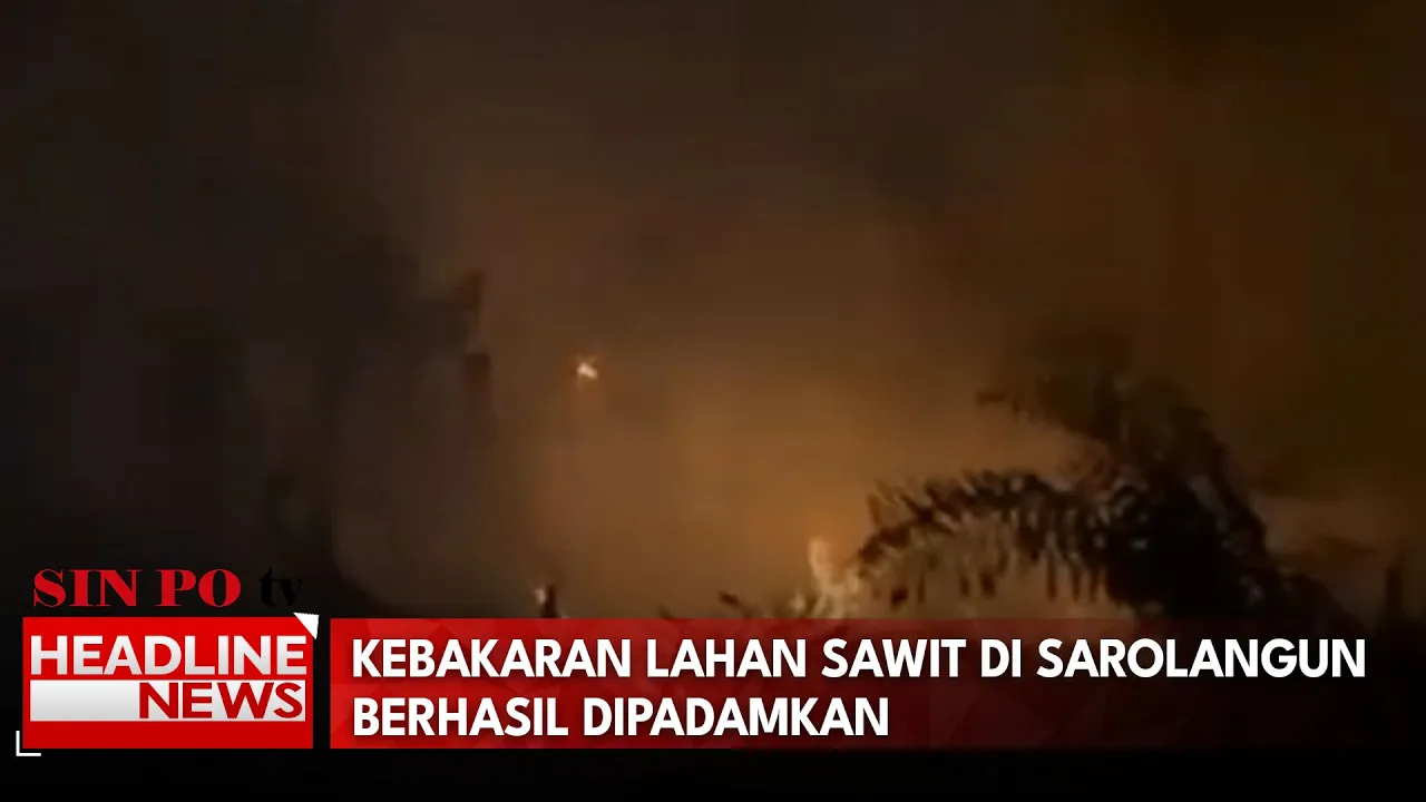 Kebakaran Lahan Sawit di Sarolangun Berhasil Dipadamkan