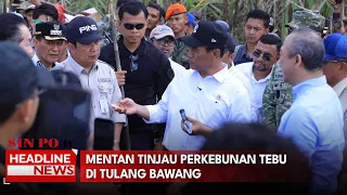 Mentan Tinjau Perkebunan Tebu Di Tulang Bawang
