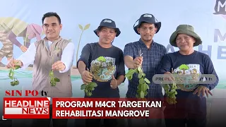 Program M4CR Targetkan Rehabilitasi Mangrove