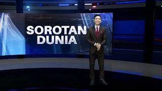Sungai Danube Surut, Induk Lumba-Lumba Membawa Anaknya Yang Mati | Sorotan Dunia
