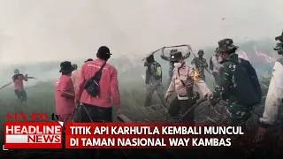 Titik Api Karhutla Kembali Muncul di Taman Nasional Way Kambas