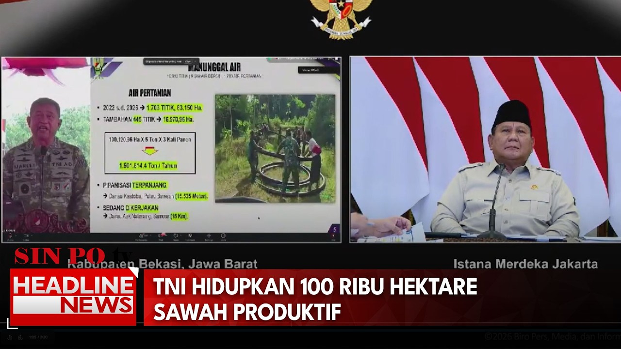 TNI Hidupkan 100 Ribu Hektare Sawah Produktif