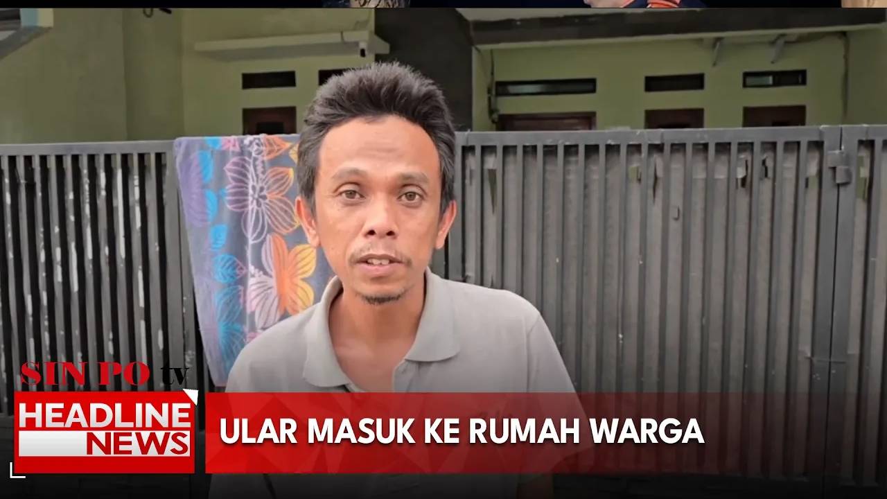 Ular Masuk Ke Rumah Warga
