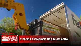 2 Panda Tiongkok Tiba Di Atlanta