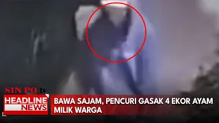Bawa Sajam, Pencuri Gasak 4 Ekor Ayam Warga
