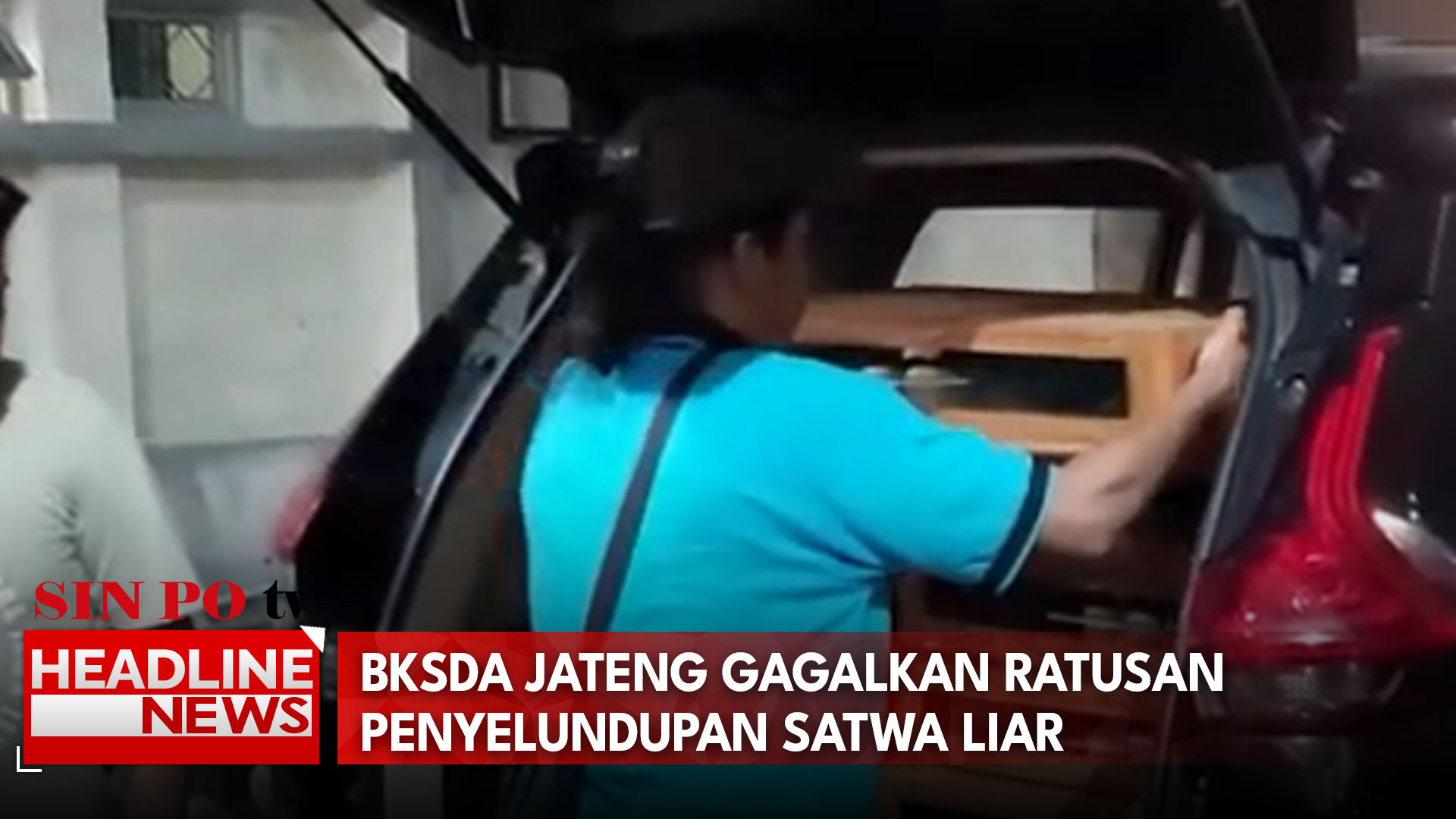 BKSDA Jateng Gagalkan Ratusan Penyelundupan Satwa Liar