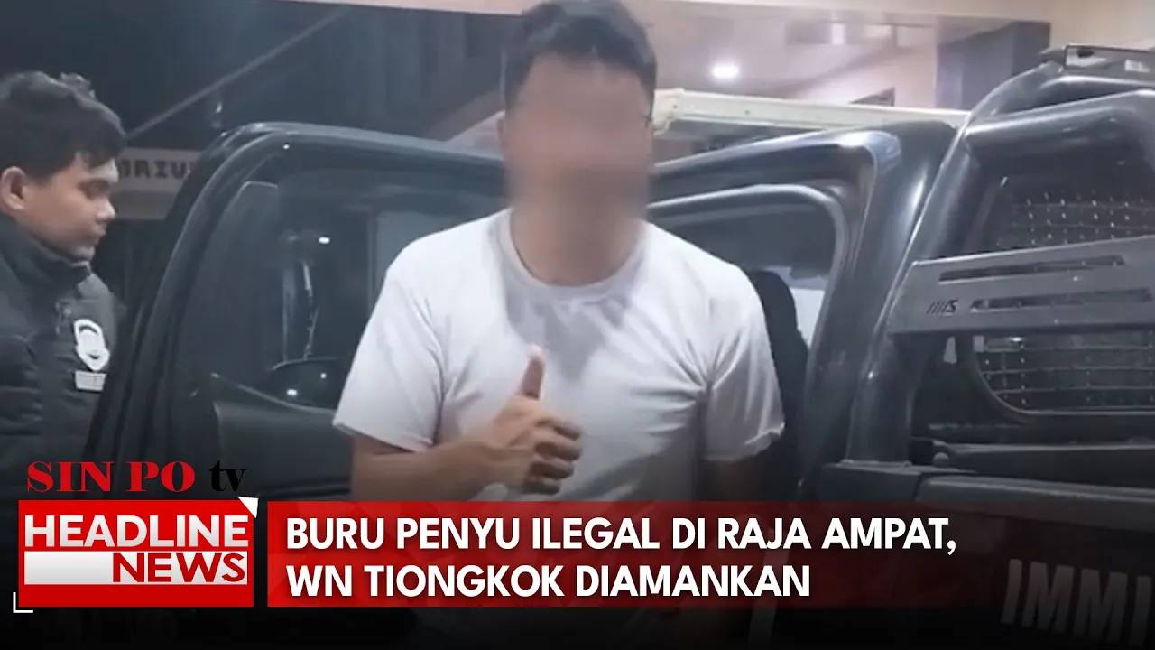 Buru Penyu Ilegal di Raja Ampat, WN Tiongkok Diamankan