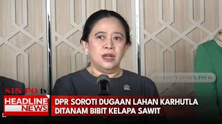 DPR Soroti Dugaan Lahan Karhutla Ditanam Bibit Kelapa Sawit