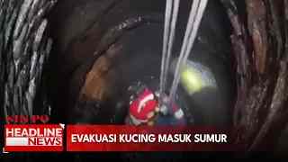 Evakuasi Kucing Masuk Sumur