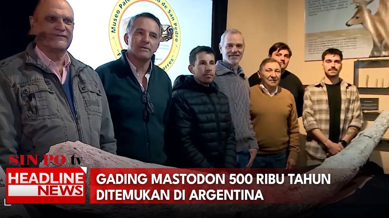 Gading Mastodon 500 Ribu Tahun Ditemukan di Argentina