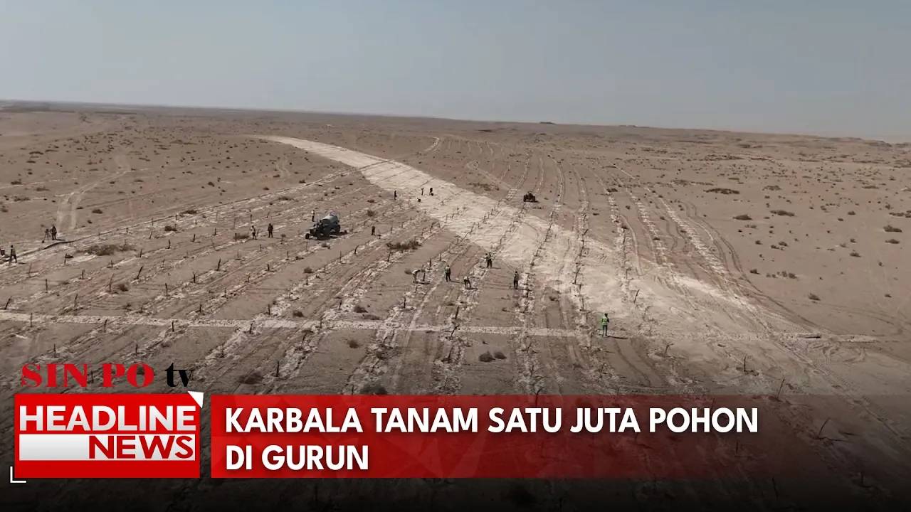 Karbala Tanam Satu Juta Pohon di Gurun