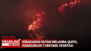 Kebakaran Hutan Melanda Quito, Hanguskan 7 Hektare Vegetasi