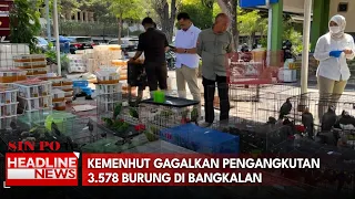 Kemenhut Gagalkan Pengangkutan 3.578 Burung Di Bangkalan