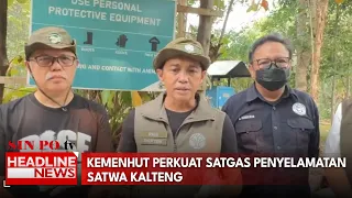Kemenhut Perkuat Satgas Penyelamatan Satwa Kalteng
