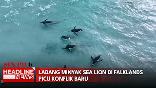 Ladang Minyak Sea Lion di Falklands Picu Konflik Baru