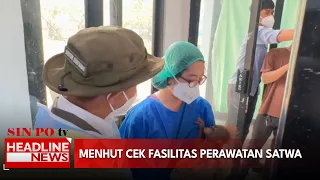 Menhut Cek Fasilitas Perawatan Satwa