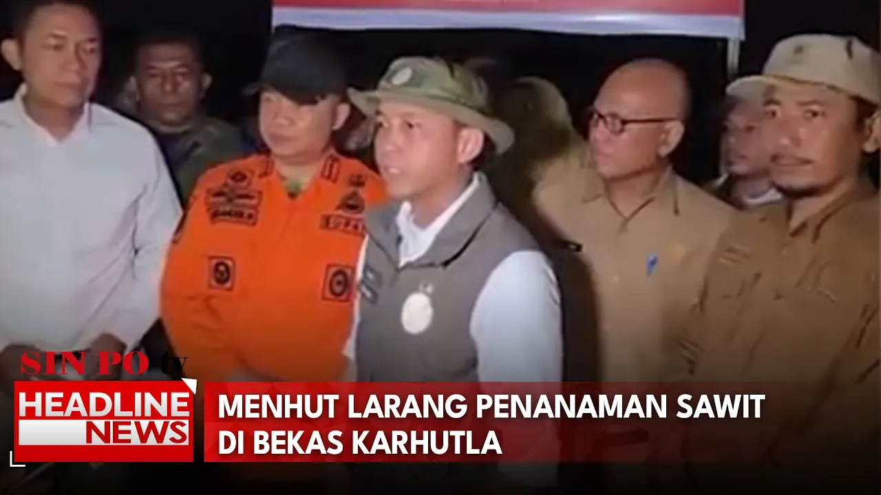 Menhut Larang Penanaman Sawit di Bekas Karhutla