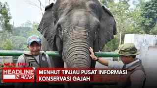 Menhut Tinjau Pusat Informasi Konservasi Gajah