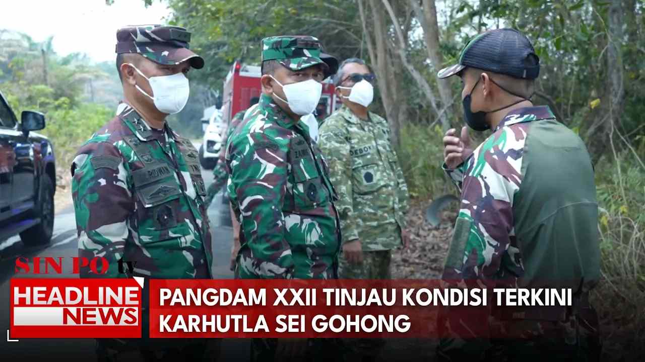 Pangdam XXII Tinjau Kondisi Terkini Karhutla Sei Gohong