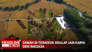Sawah di Tiongkok Disulap Jadi Karya Seni Raksasa