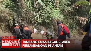 Tambang Emas Ilegal di Area Pertambangan PT ANTAM
