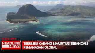 Terumbu Karang Mauritius Terancam Pemanasan Global
