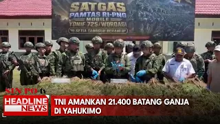TNI Amankan 21.400 Batang Ganja di Yahukimo