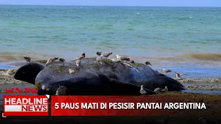5 Paus Mati di Pesisir Pantai Argentina