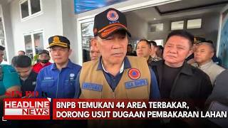 BNPB Temukan 44 Area Terbakar, Dorong Usut Dugaan Pembakaran Lahan