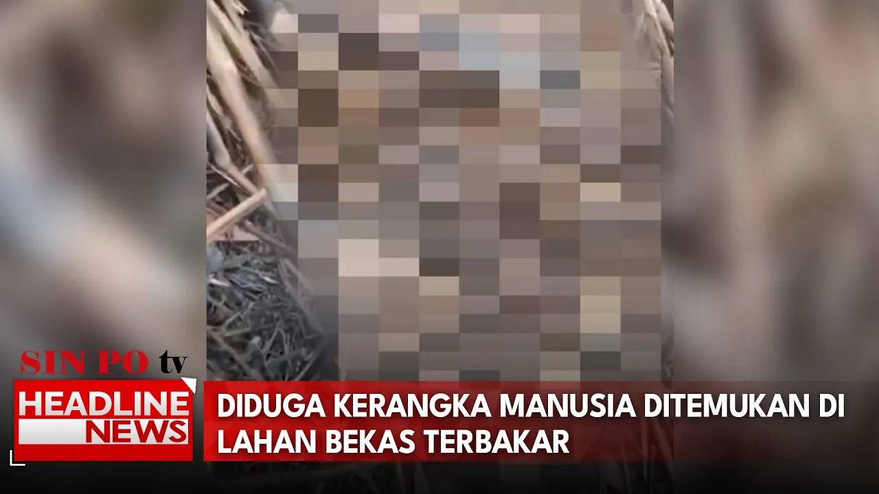 Diduga Kerangka Manusia Ditemukan Di Lahan Bekas Terbakar