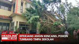 Diterjang Angin Kencang, Pohon Tumbang Timpa Sekolah