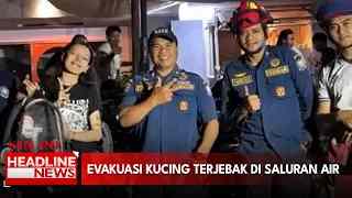 Evakuasi Kucing Terjebak Di Saluran Air