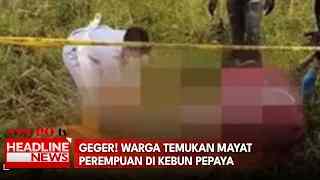 Geger! Warga Temukan Mayat Perempuan Di Kebun Pepaya