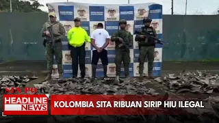 Kolombia Sita Ribuan Sirip Hiu Ilegal