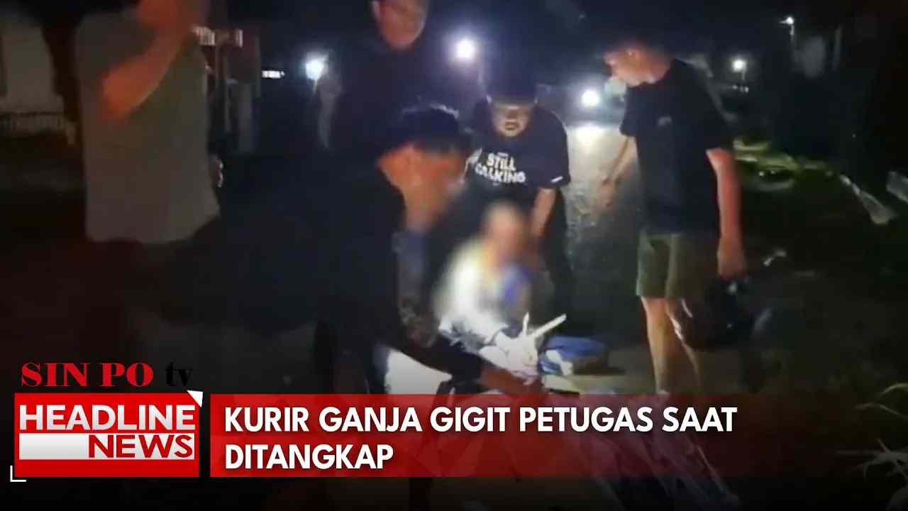 Kurir Ganja Gigit Petugas Saat Ditangkap