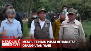 Menhut Tinjau Pusat Rehabilitasi Orang Utan Yiari