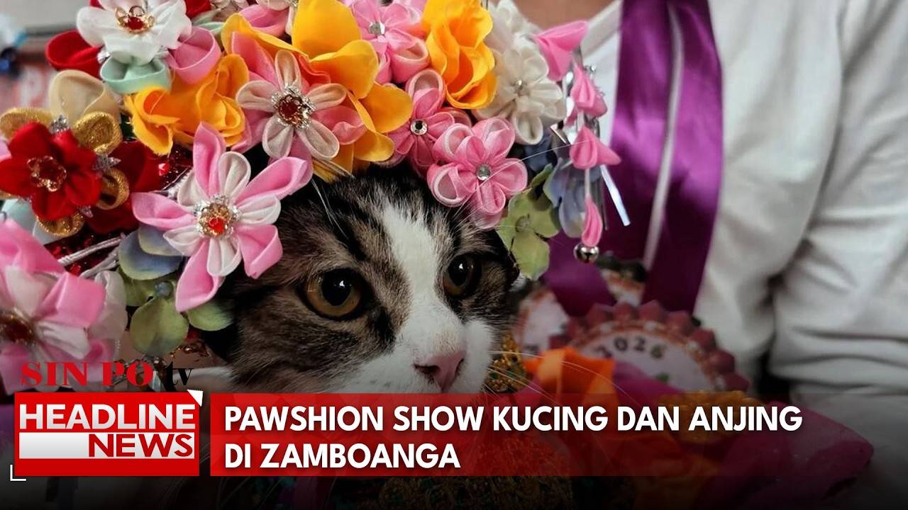 Pawshion Show Kucing dan Anjing di Zamboanga