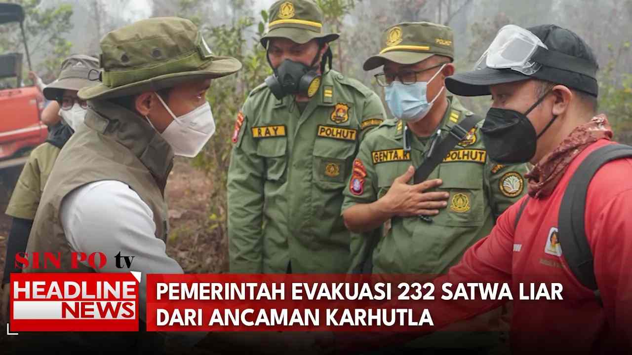 Pemerintah Evakuasi 232 Satwa Liar Dari Ancaman Karhutla