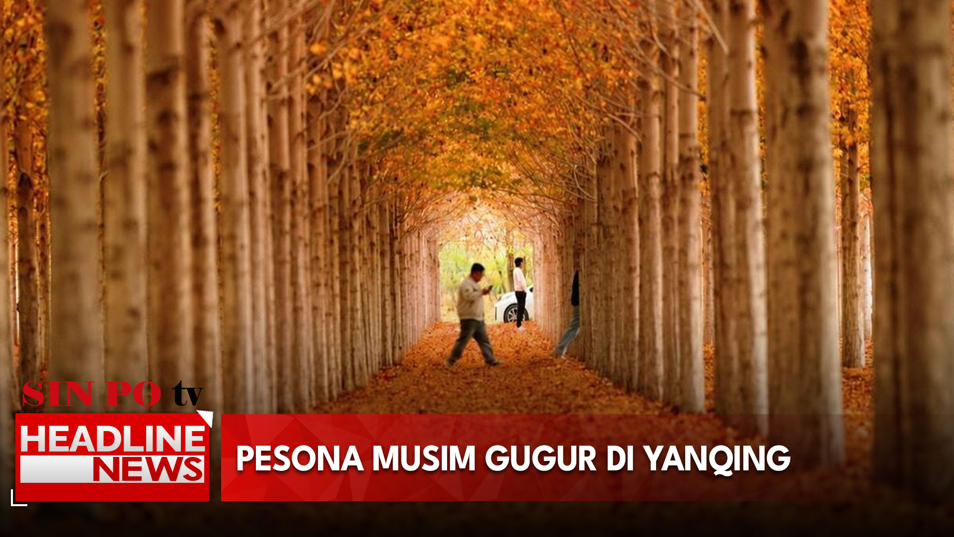 Pesona Musim Gugur Di Yanqing