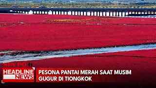 Pesona Pantai Merah Saat Musim Gugur Di Tiongkok