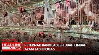 Peternak Bangladesh Ubah Limbah Ayam Jadi Biogas