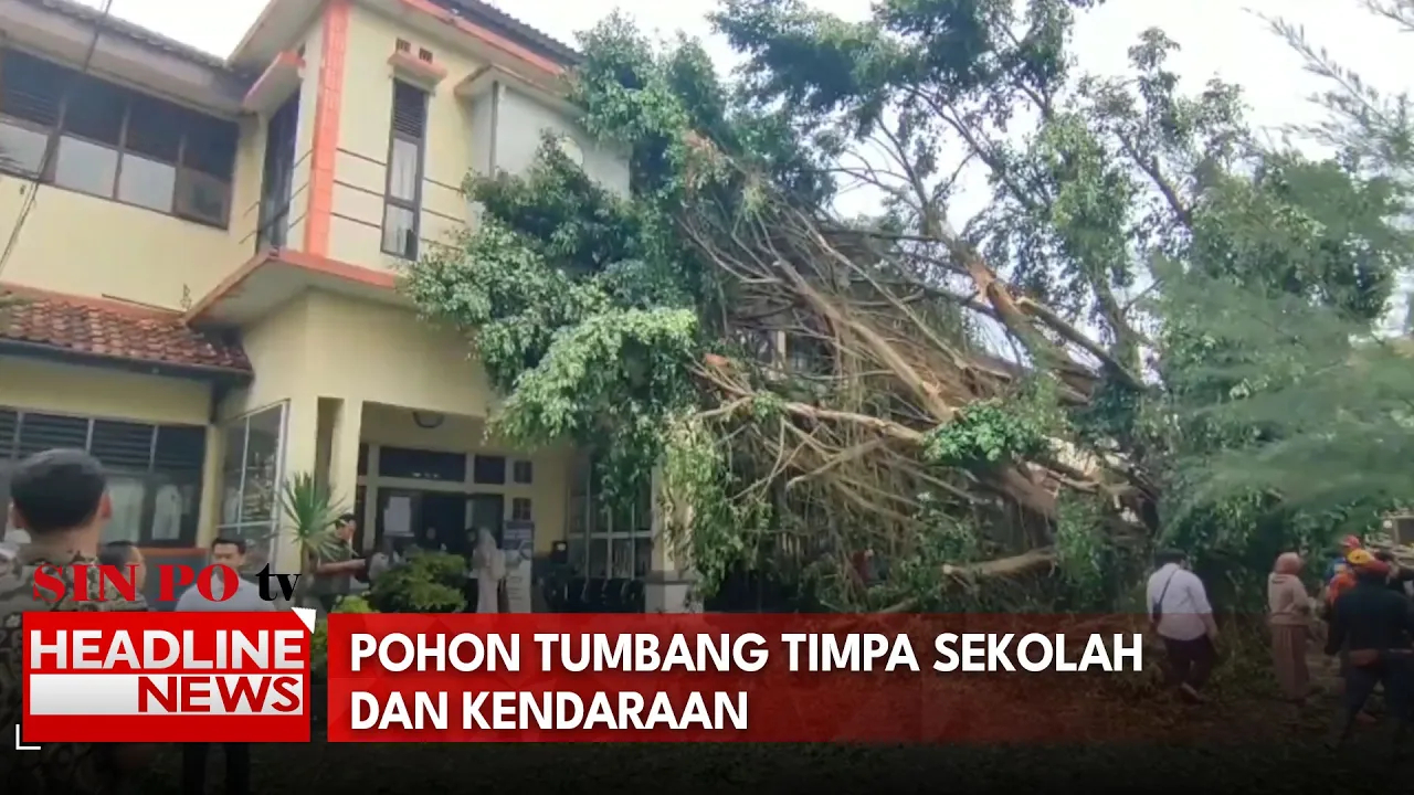 Pohon Tumbang Timpa Sekolah dan Kendaraan