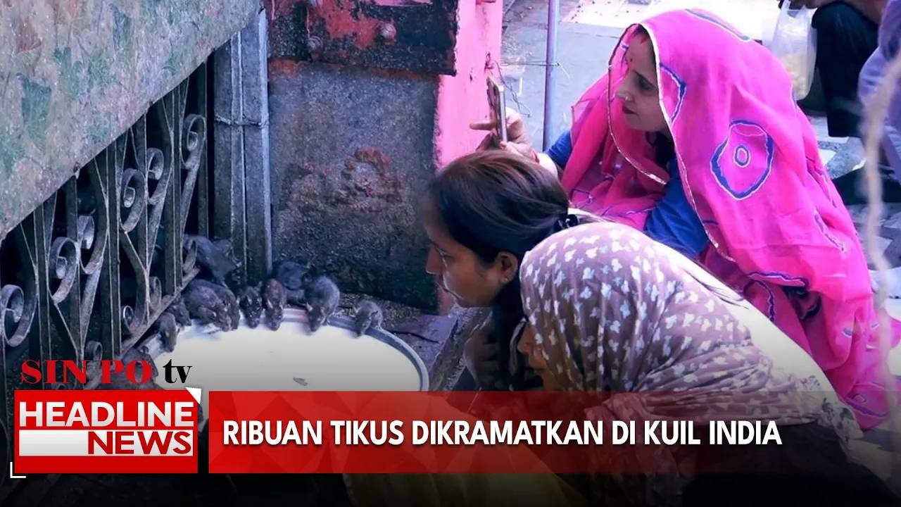 Ribuan Tikus Dikramatkan di Kuil India