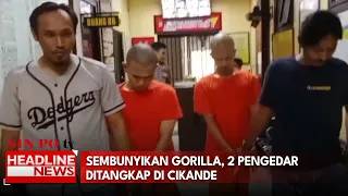 Sembunyikan Gorilla, 2 Pengedar Ditangkap di Cikande